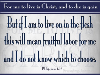 Philippians 1:22 To Live Is Fruitful Labour For Me (gray)